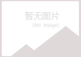 宁夏字迹金属有限公司